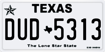 TX license plate DUD5313