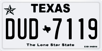 TX license plate DUD7119