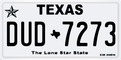 TX license plate DUD7273