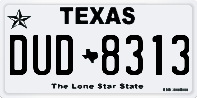 TX license plate DUD8313