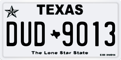 TX license plate DUD9013