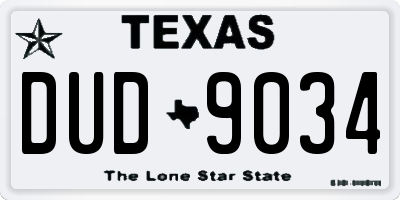 TX license plate DUD9034