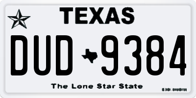 TX license plate DUD9384