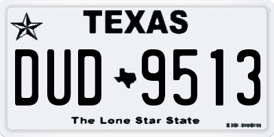 TX license plate DUD9513