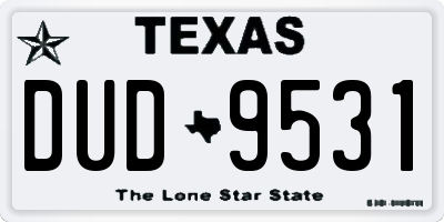 TX license plate DUD9531