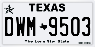 TX license plate DWM9503