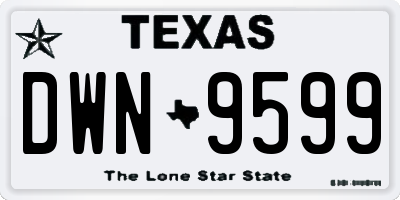 TX license plate DWN9599