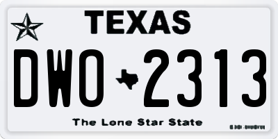 TX license plate DWO2313