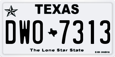 TX license plate DWO7313
