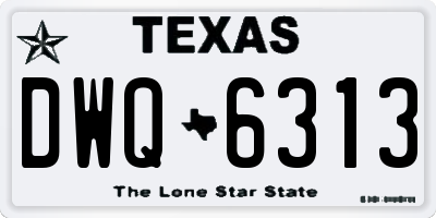 TX license plate DWQ6313