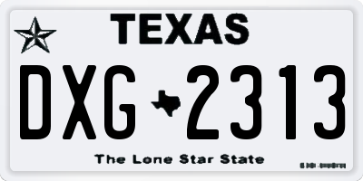 TX license plate DXG2313