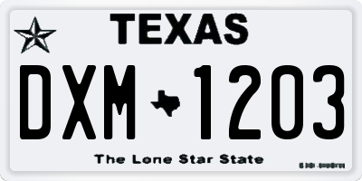 TX license plate DXM1203