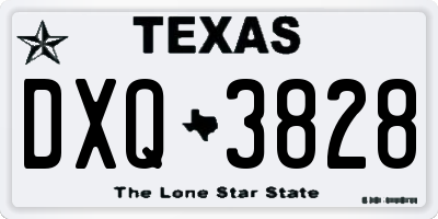 TX license plate DXQ3828