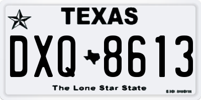 TX license plate DXQ8613