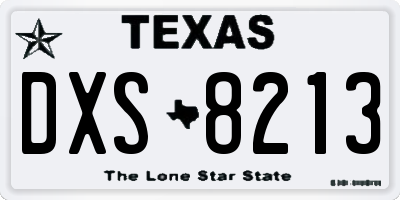 TX license plate DXS8213