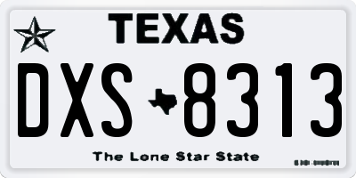 TX license plate DXS8313