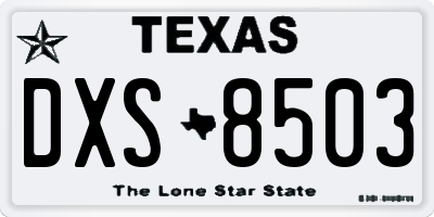 TX license plate DXS8503