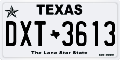 TX license plate DXT3613