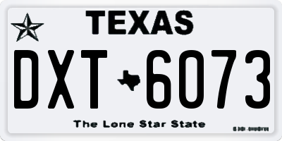 TX license plate DXT6073