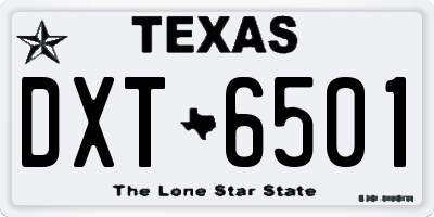 TX license plate DXT6501