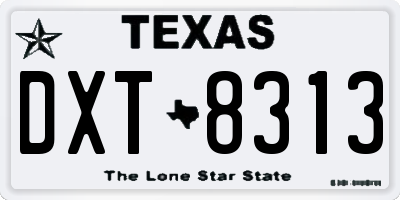 TX license plate DXT8313