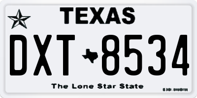 TX license plate DXT8534
