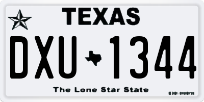 TX license plate DXU1344