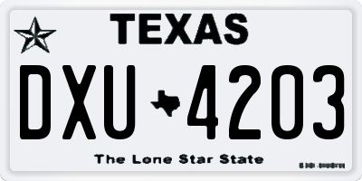 TX license plate DXU4203