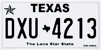 TX license plate DXU4213