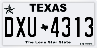 TX license plate DXU4313
