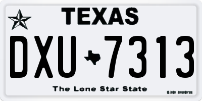 TX license plate DXU7313