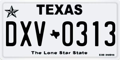 TX license plate DXV0313