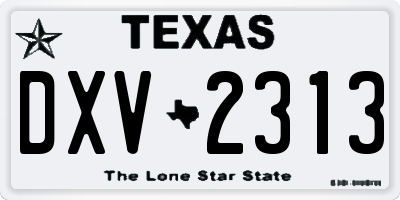 TX license plate DXV2313
