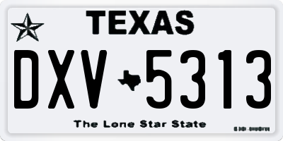 TX license plate DXV5313