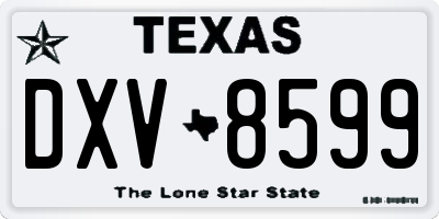 TX license plate DXV8599