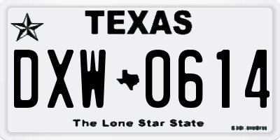 TX license plate DXW0614
