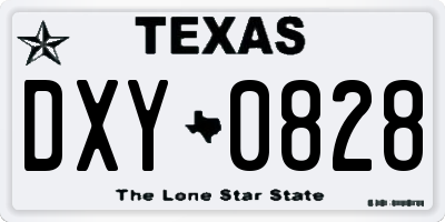 TX license plate DXY0828