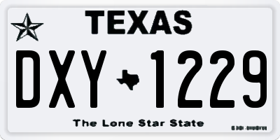 TX license plate DXY1229