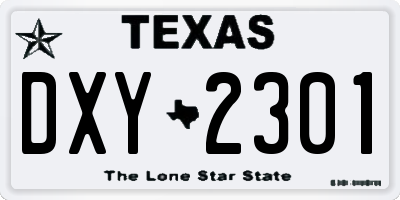 TX license plate DXY2301