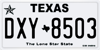 TX license plate DXY8503