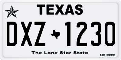 TX license plate DXZ1230
