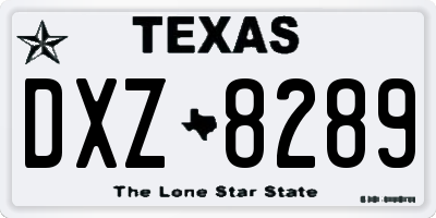 TX license plate DXZ8289