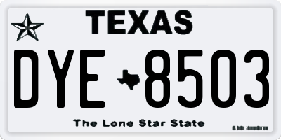 TX license plate DYE8503