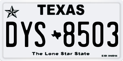 TX license plate DYS8503
