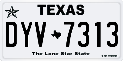 TX license plate DYV7313