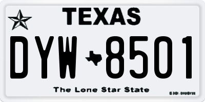 TX license plate DYW8501