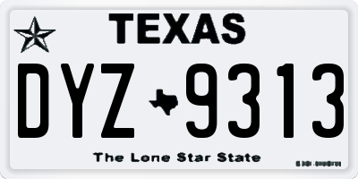 TX license plate DYZ9313