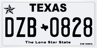 TX license plate DZB0828