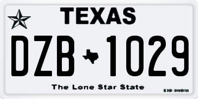 TX license plate DZB1029