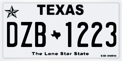 TX license plate DZB1223